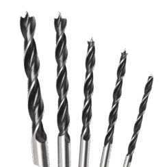 Brocas